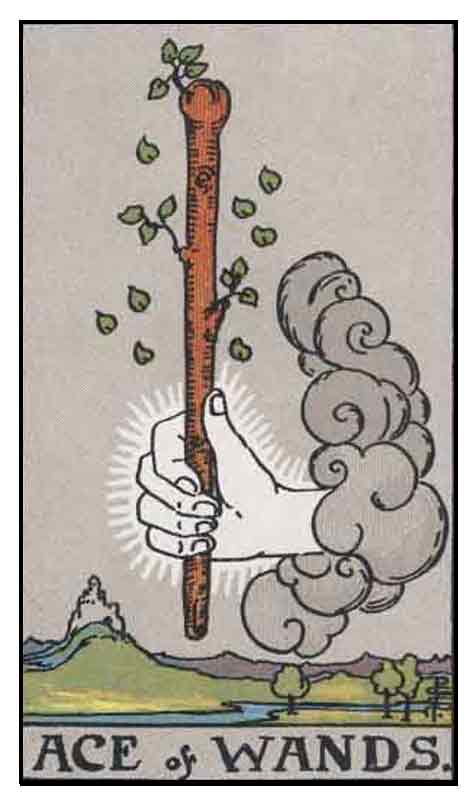 A hand holding the Ace of Wands tarot card, symbolizing inspiration, creativity, and new beginnings within spiritual tarot practice.